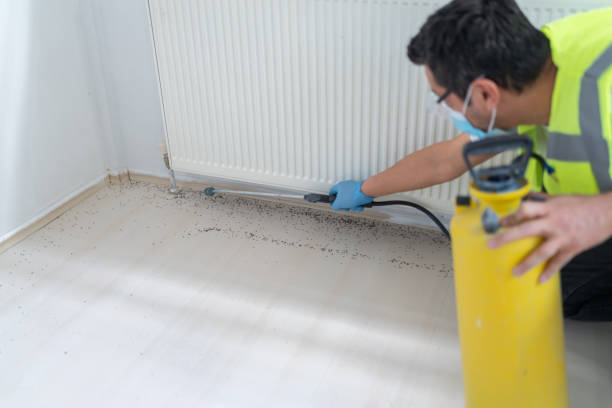 Best Wasp Removal Services  in Northfield, IL